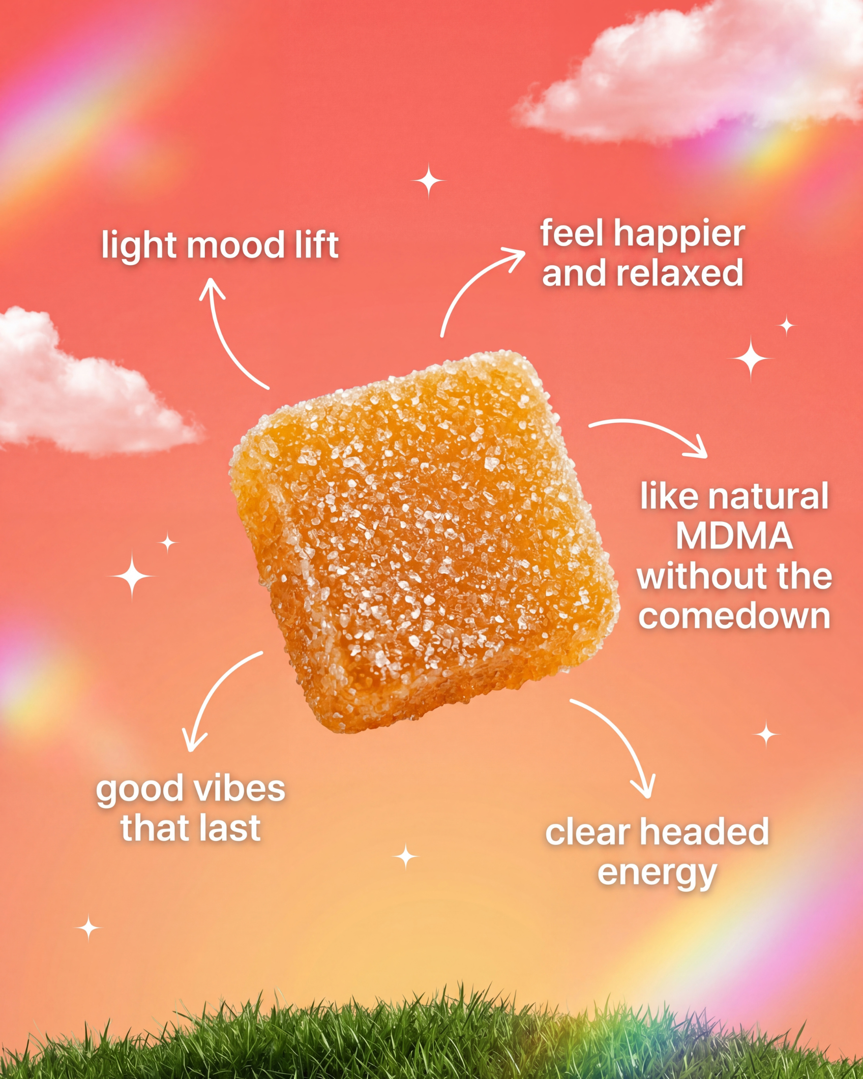 Mango Dream